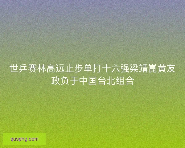 世乒赛林高远止步单打十六强梁靖崑黄友政负于中国台北组合